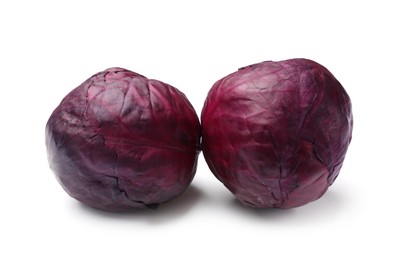 Photo of Two fresh red cabbages isolated on white