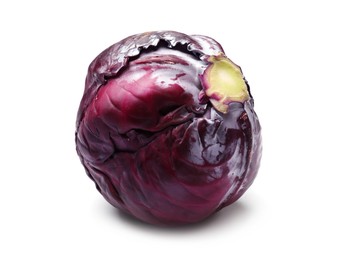 Photo of One fresh red cabbage isolated on white