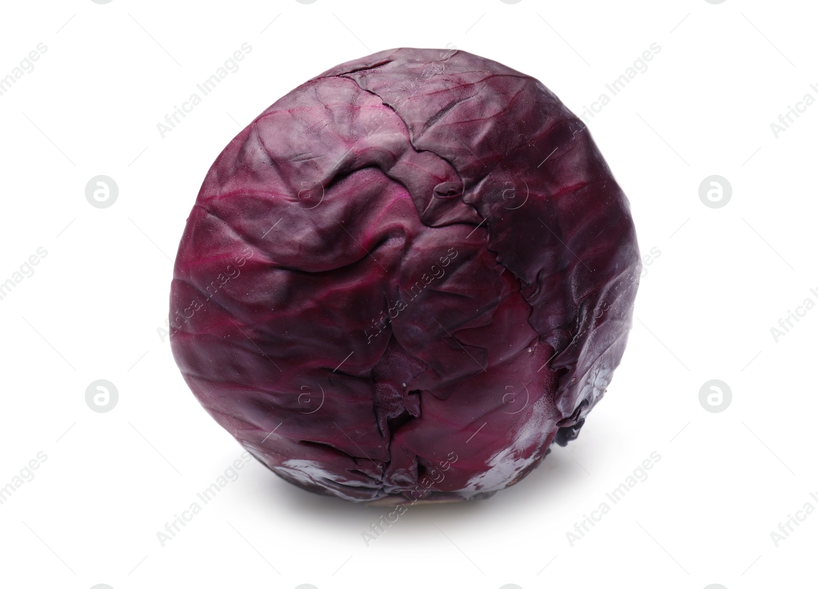 Photo of One fresh red cabbage isolated on white