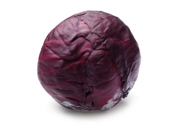 Photo of One fresh red cabbage isolated on white