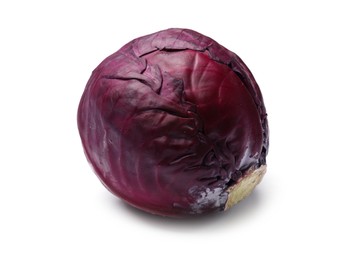 Photo of One fresh red cabbage isolated on white