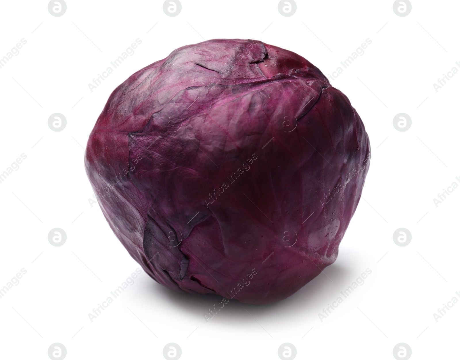 Photo of One fresh red cabbage isolated on white