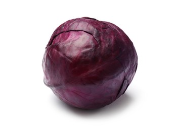 Photo of One fresh red cabbage isolated on white