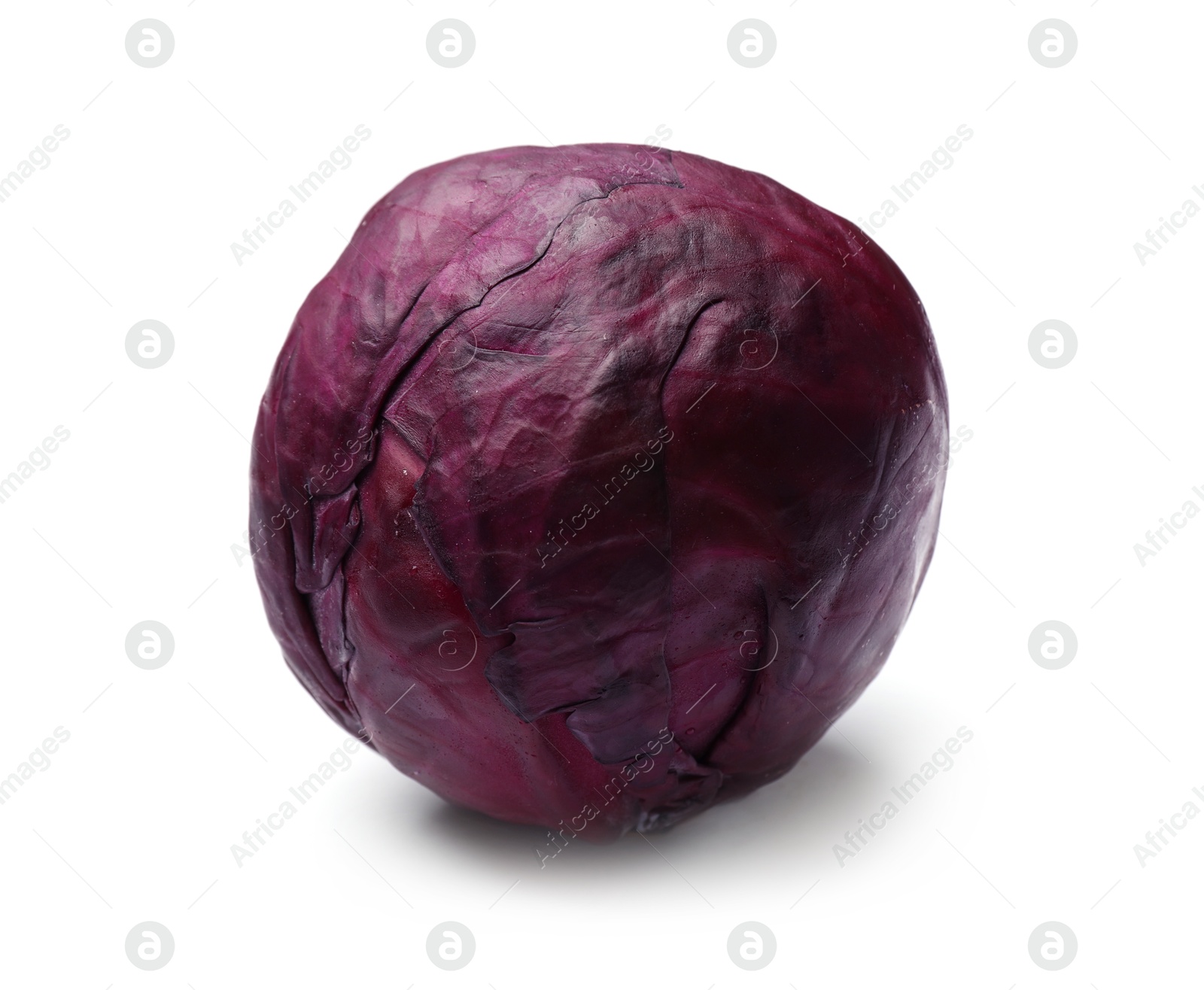 One fresh red cabbage isolated on white Photo of One fresh red cabbage isolated on white