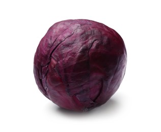 Photo of One fresh red cabbage isolated on white