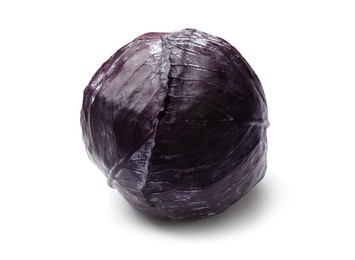 Photo of One fresh red cabbage isolated on white
