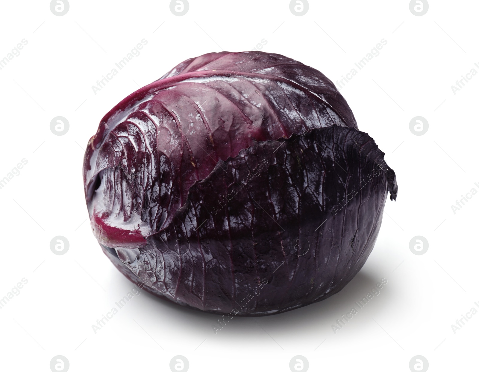 One fresh red cabbage isolated on white Photo of One fresh red cabbage isolated on white