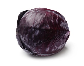 Photo of One fresh red cabbage isolated on white