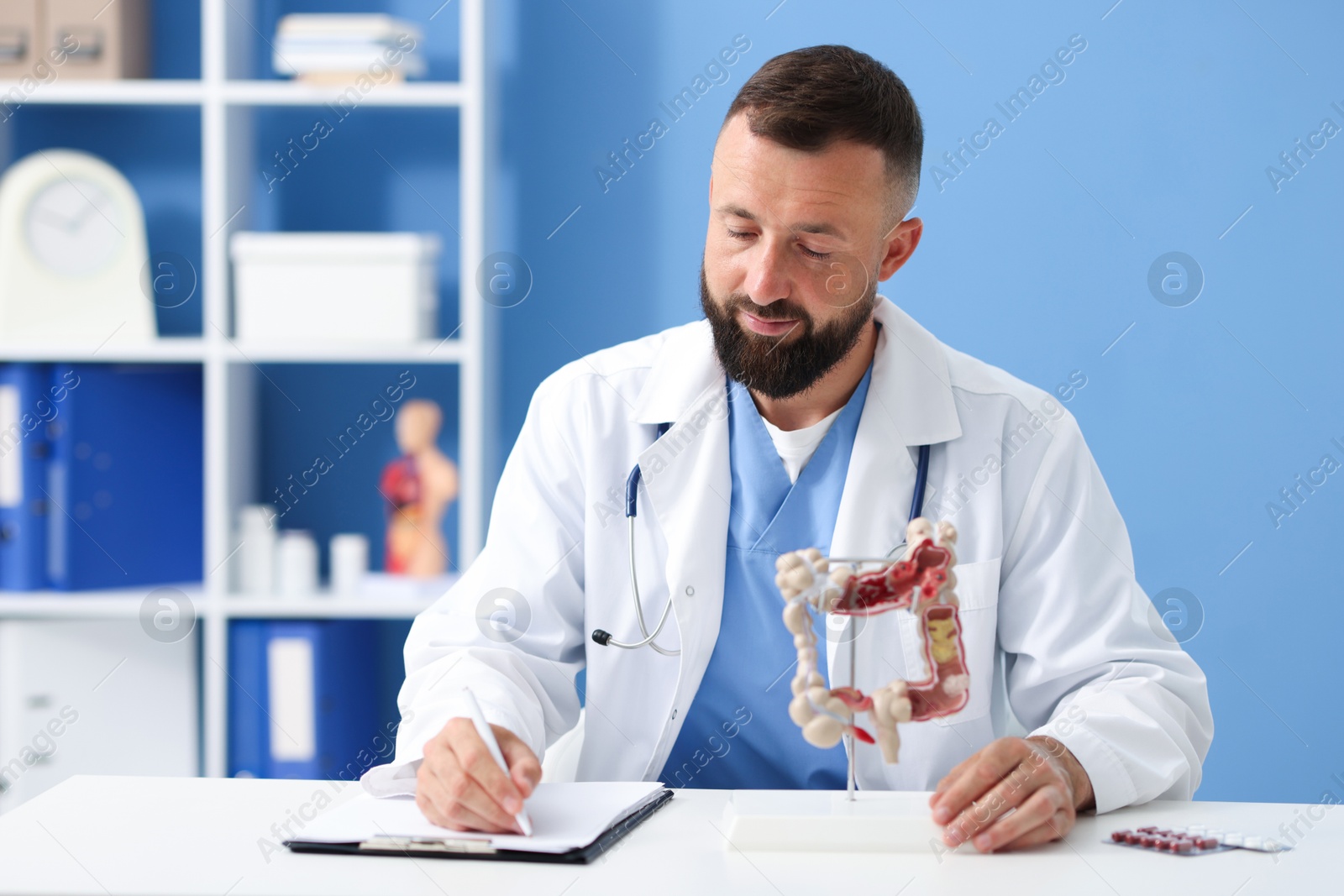 Photo of Gastroenterologist with model of large intestine working at white table in clinic