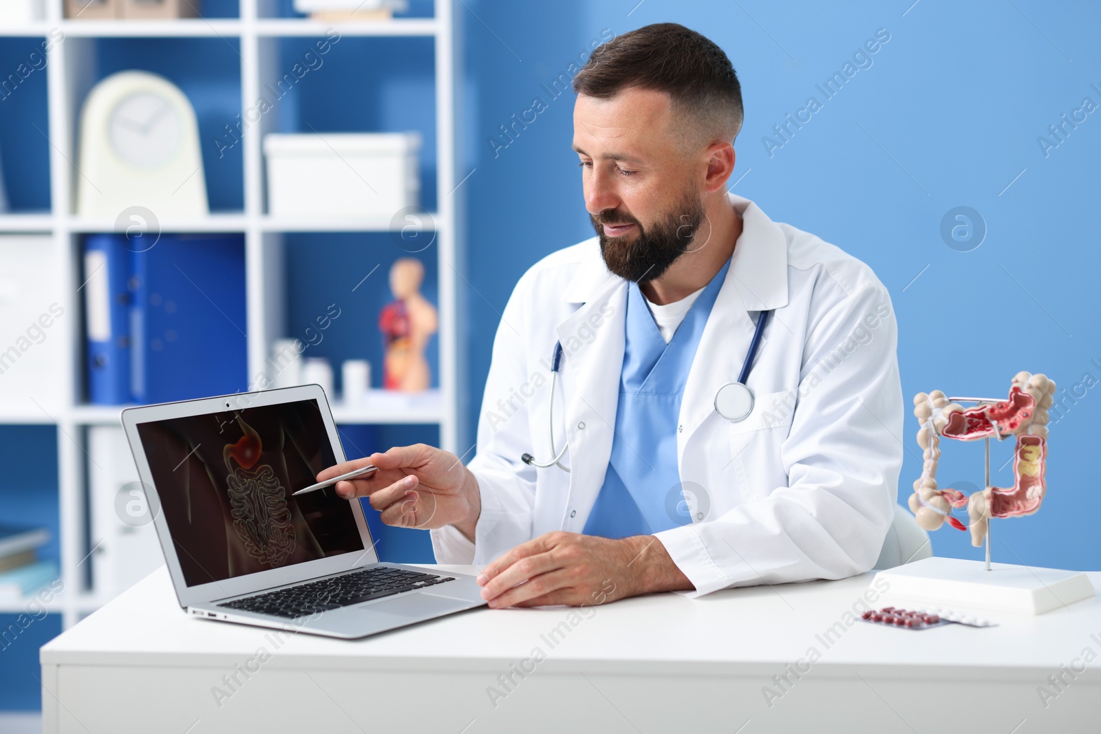 Photo of Gastroenterologist showing screen with illustration of digestive tract at table in clinic