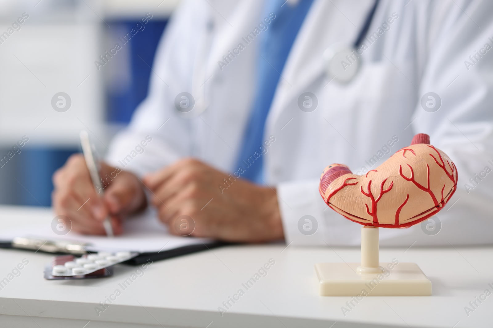 Photo of Gastroenterologist working at table in clinic, focus on human stomach model