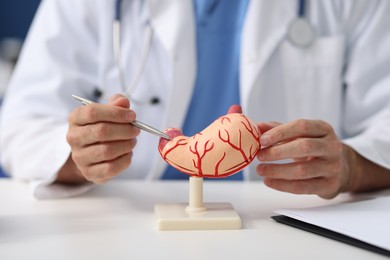 Photo of Gastroenterologist showing model of stomach at white table in clinic, closeup