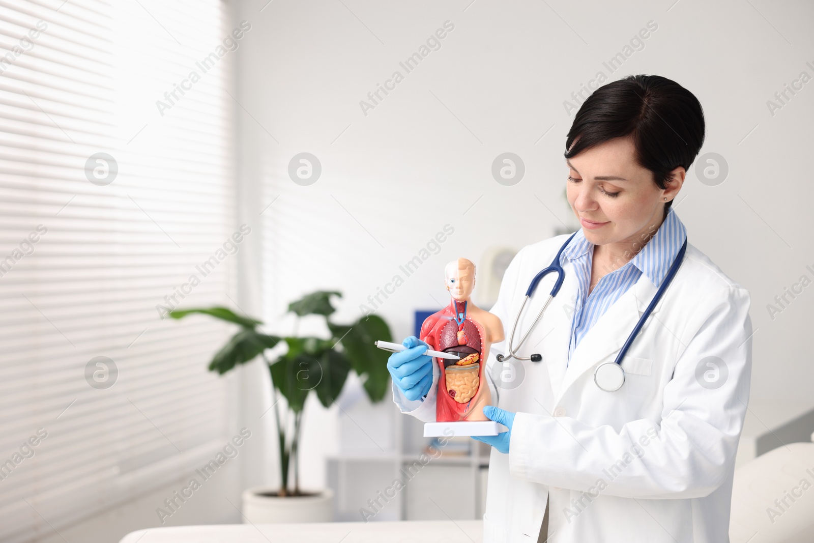 Photo of Gastroenterologist showing stomach in human anatomy mannequin at clinic. Space for text