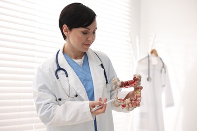 Photo of Gastroenterologist showing model of large intestine in clinic