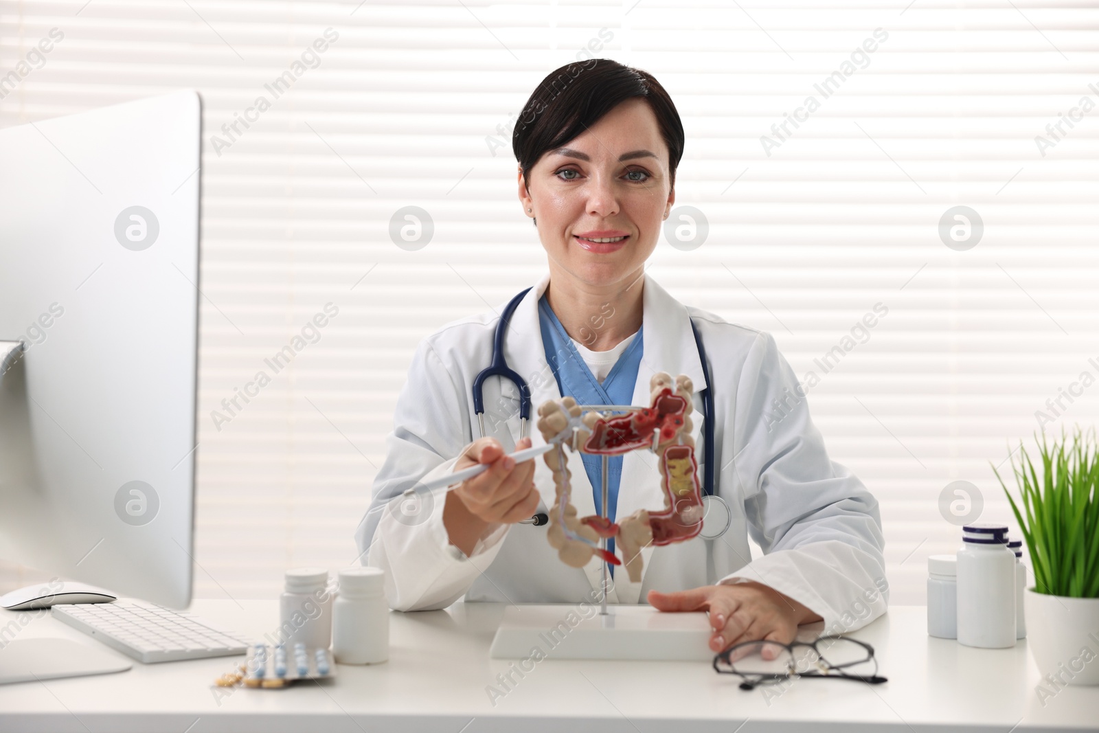 Photo of Gastroenterologist showing model of large intestine at white table in clinic
