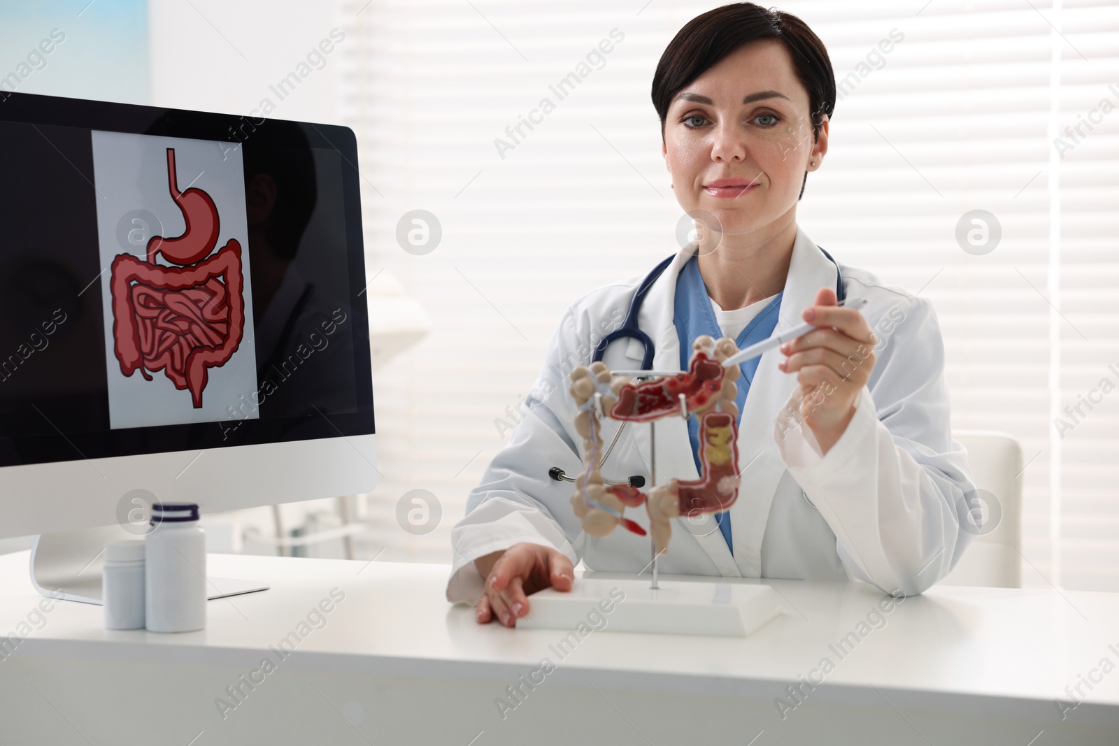 Photo of Gastroenterologist showing model of large intestine at white table in clinic