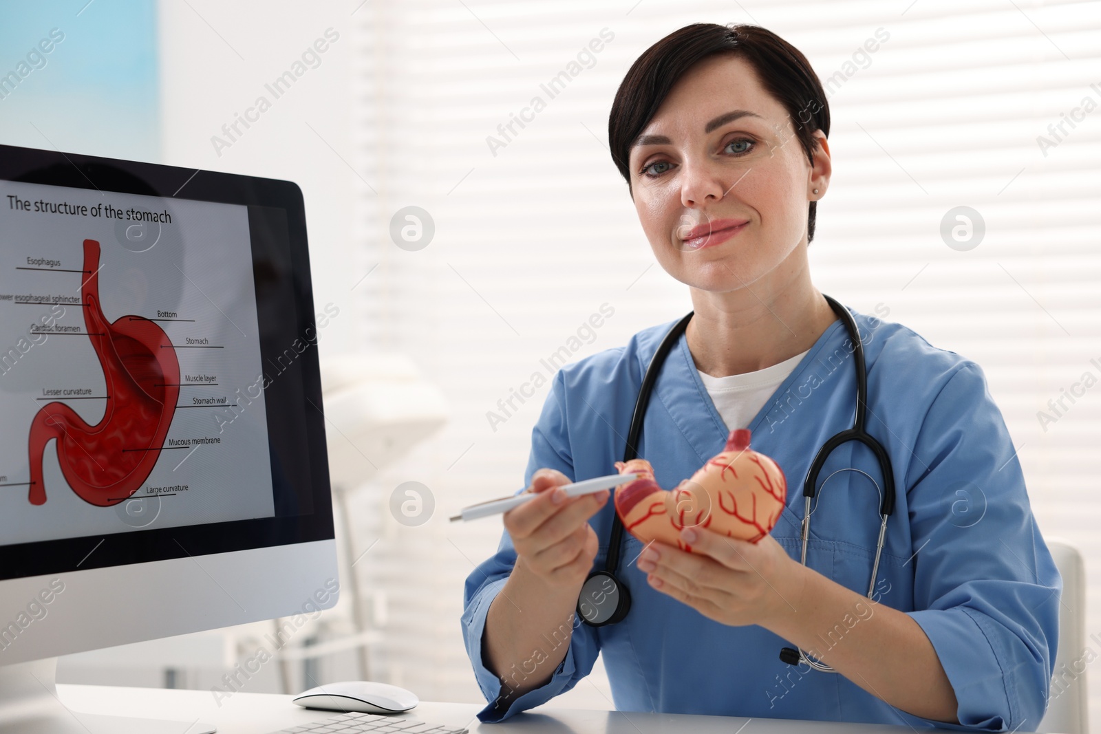 Photo of Gastroenterologist showing human stomach model in clinic