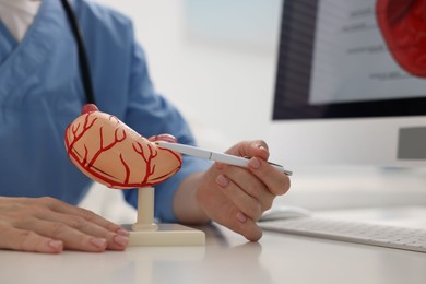 Photo of Gastroenterologist showing model of stomach at white table in clinic, closeup