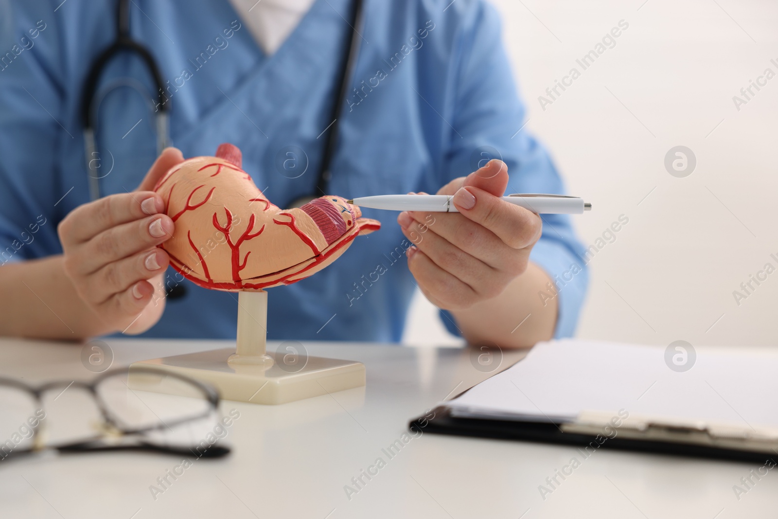 Photo of Gastroenterologist showing model of stomach at white table in clinic, closeup