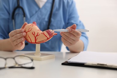 Photo of Gastroenterologist showing model of stomach at white table in clinic, closeup