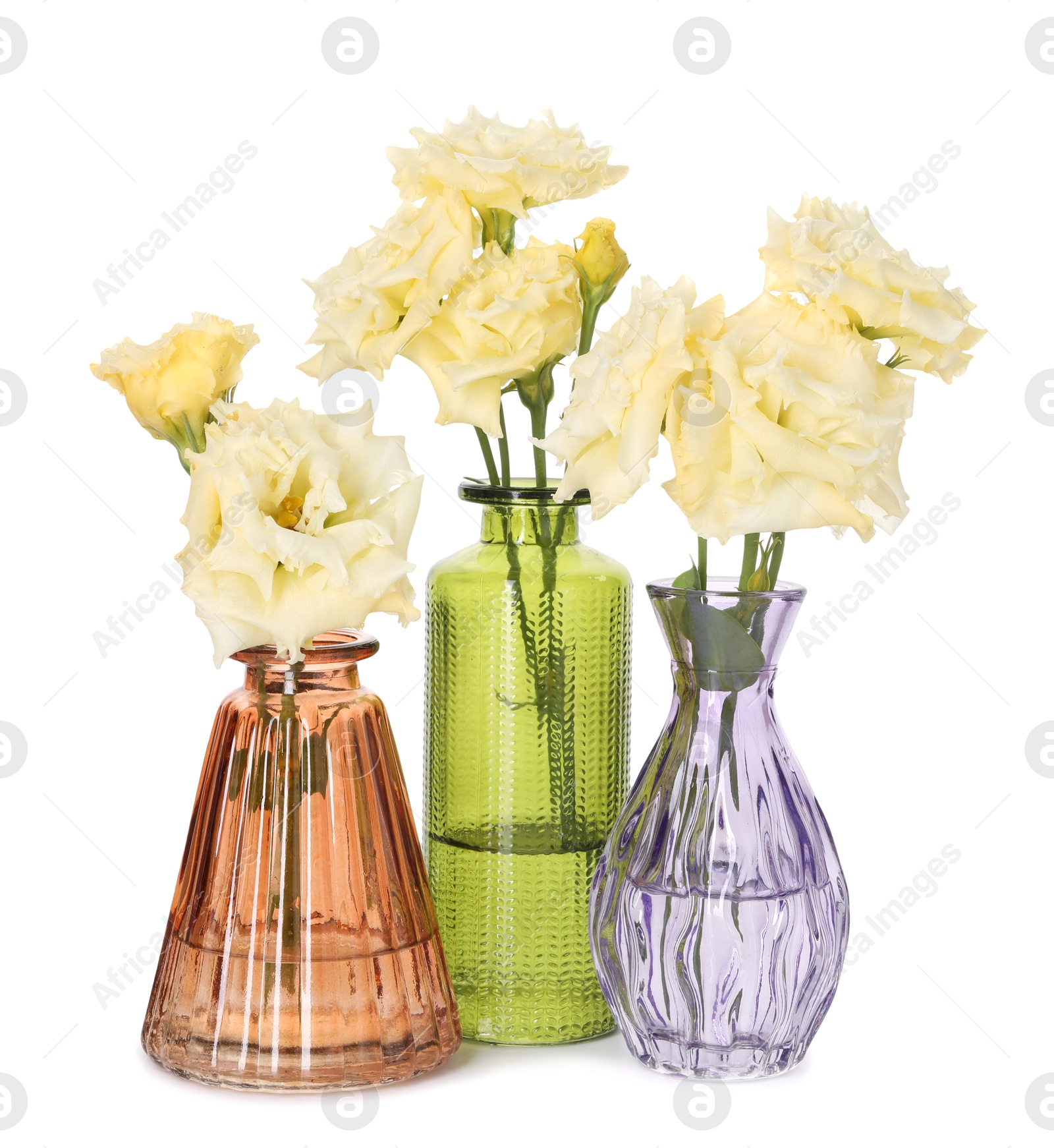 Photo of Beautiful eustoma flowers in glass vases isolated on white