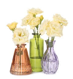 Photo of Beautiful eustoma flowers in glass vases isolated on white