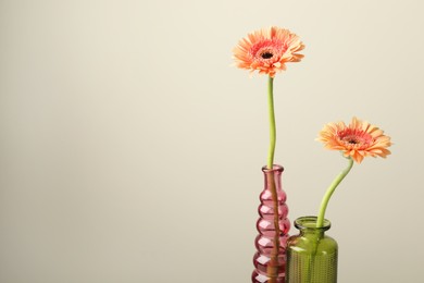 Photo of Beautiful gerbera flowers in glass vases on light grey background, closeup. Space for text