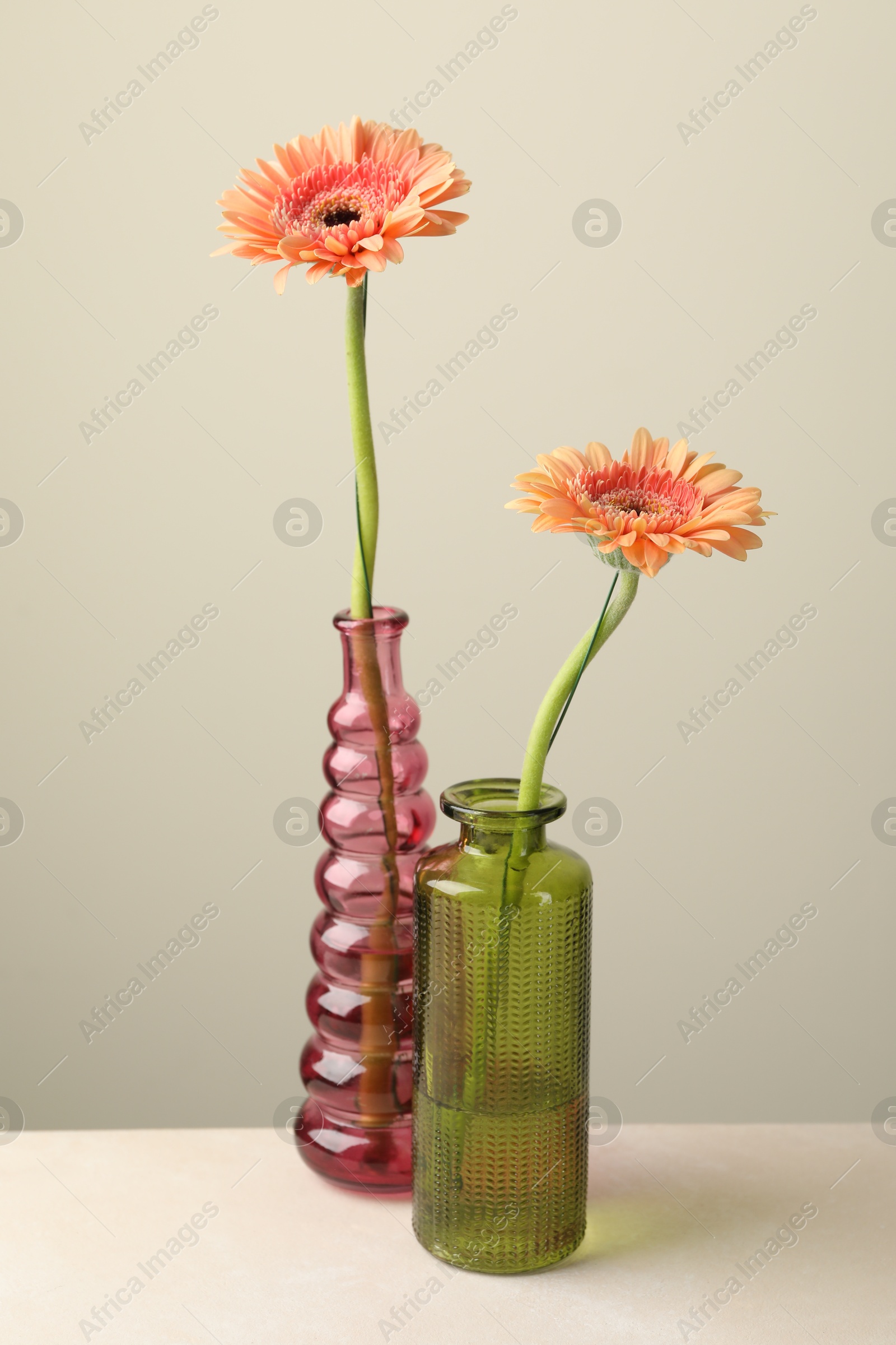 Photo of Beautiful gerbera flowers in glass vases on white table against light grey background