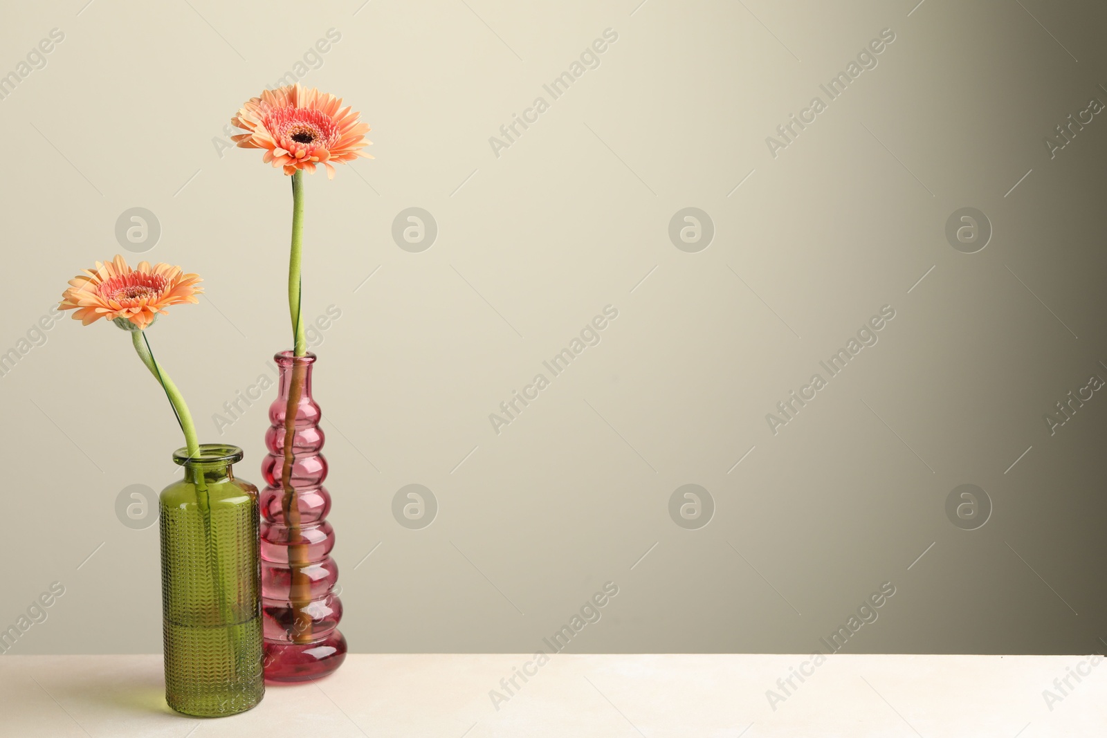 Beautiful gerbera flowers in glass vases on white table against light grey background, space for text Photo of Beautiful gerbera flowers in glass vases on white table against light grey background, space for text