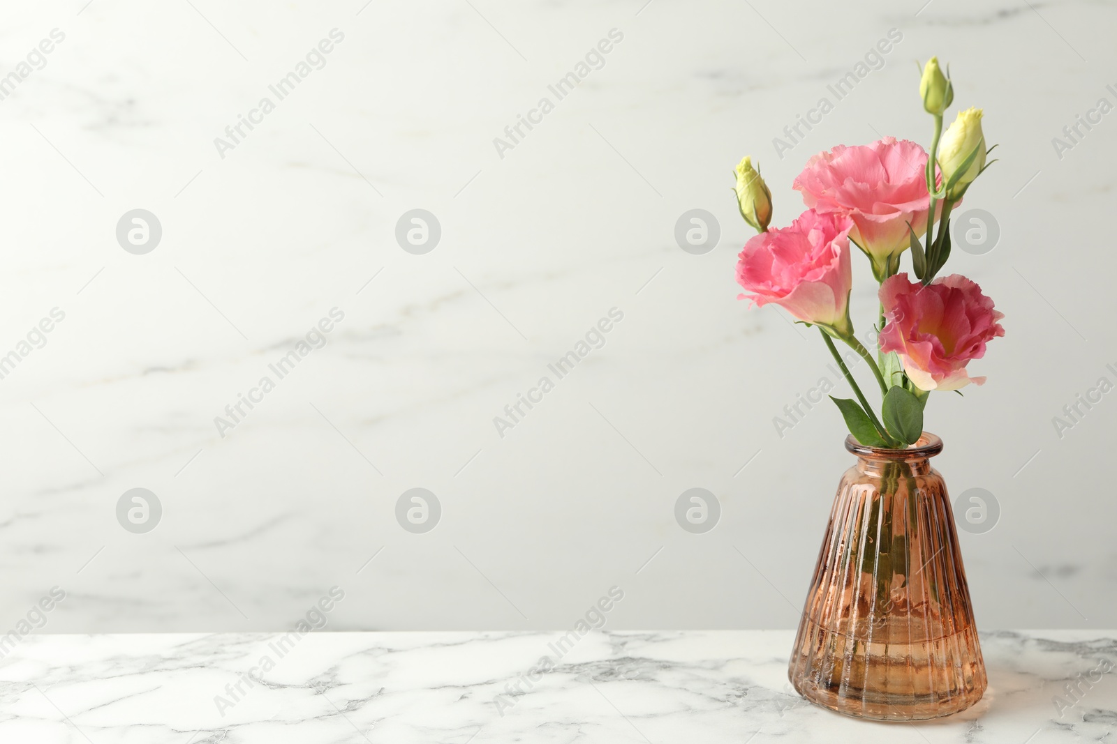Photo of Beautiful eustoma flowers in glass vase on white marble table, space for text