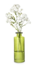 Photo of Beautiful gypsophila flowers in glass vase isolated on white
