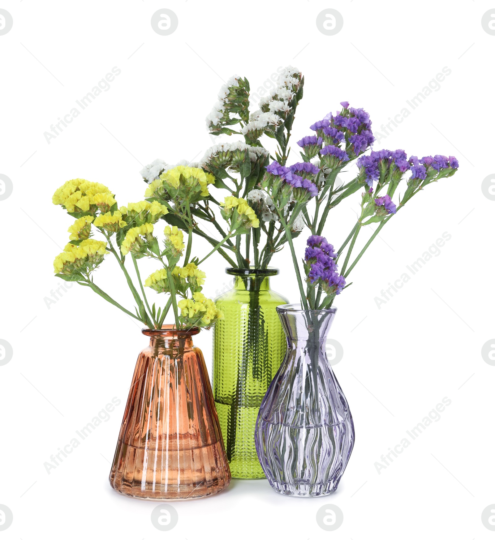 Photo of Different beautiful flowers in glass vases isolated on white