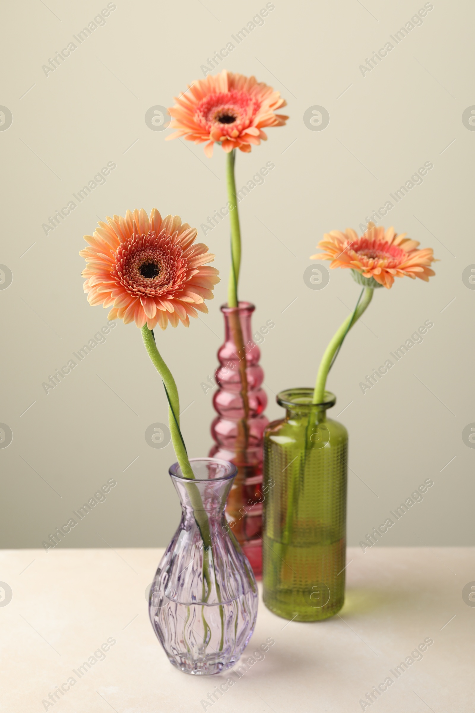 Beautiful gerbera flowers in glass vases on white table against light grey background Photo of Beautiful gerbera flowers in glass vases on white table against light grey background