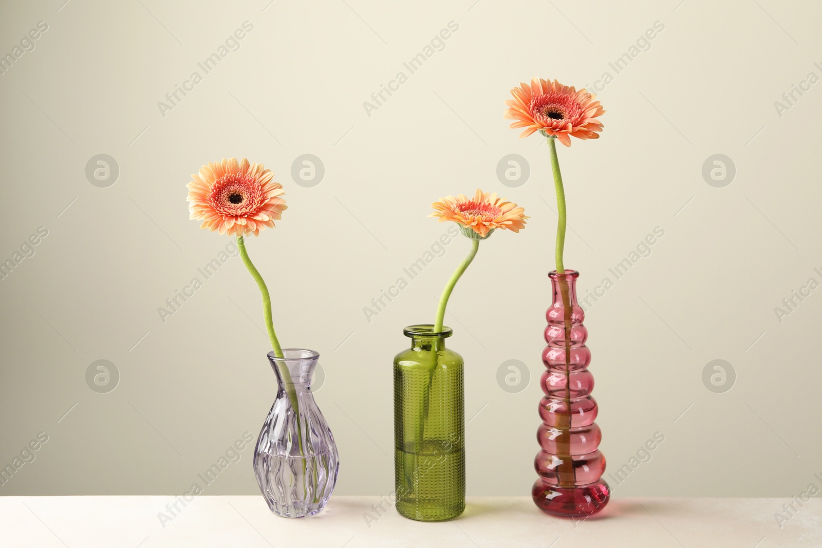 Beautiful gerbera flowers in glass vases on white table against light grey background Photo of Beautiful gerbera flowers in glass vases on white table against light grey background
