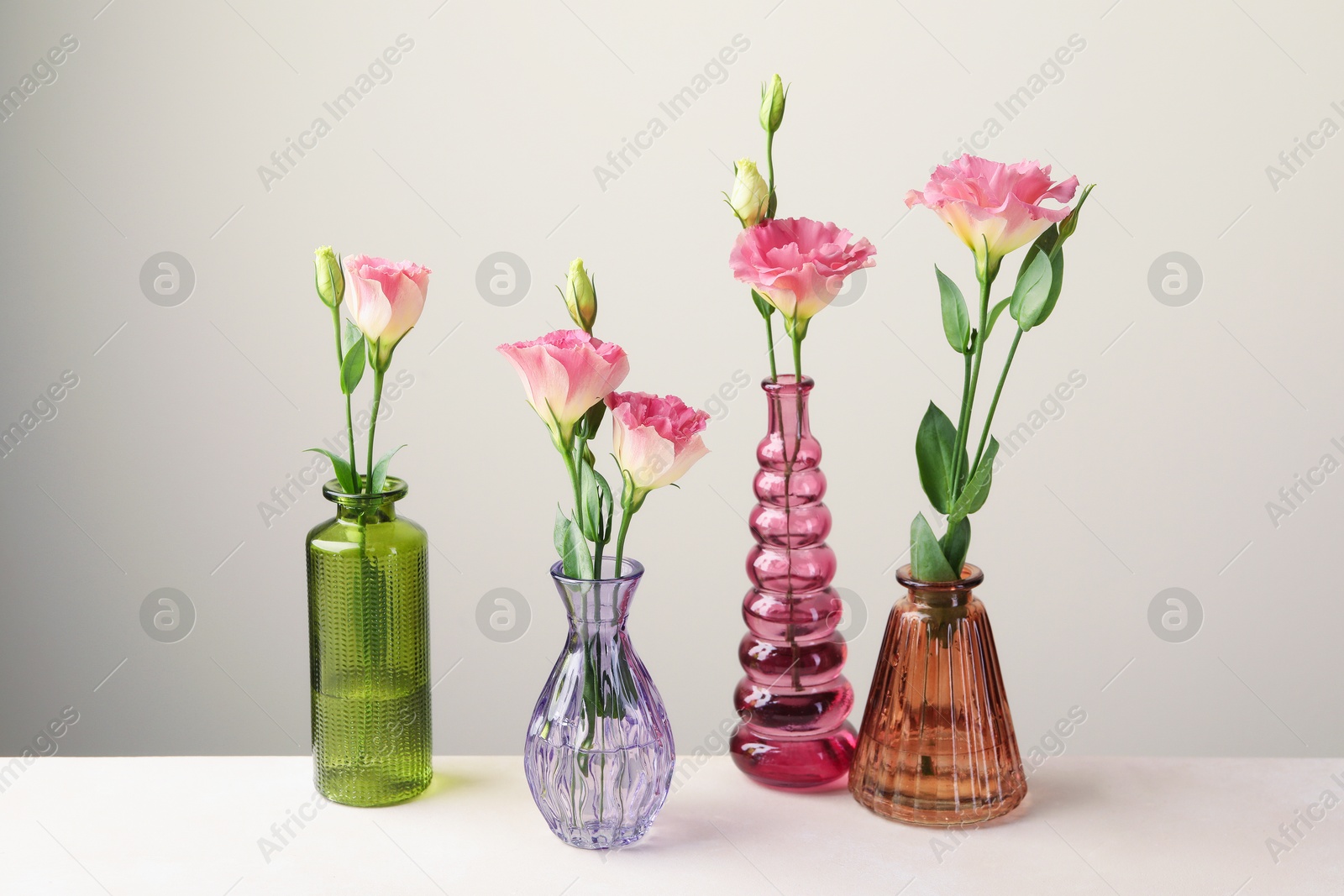 Beautiful eustoma flowers in glass vases on white table against light grey background Photo of Beautiful eustoma flowers in glass vases on white table against light grey background