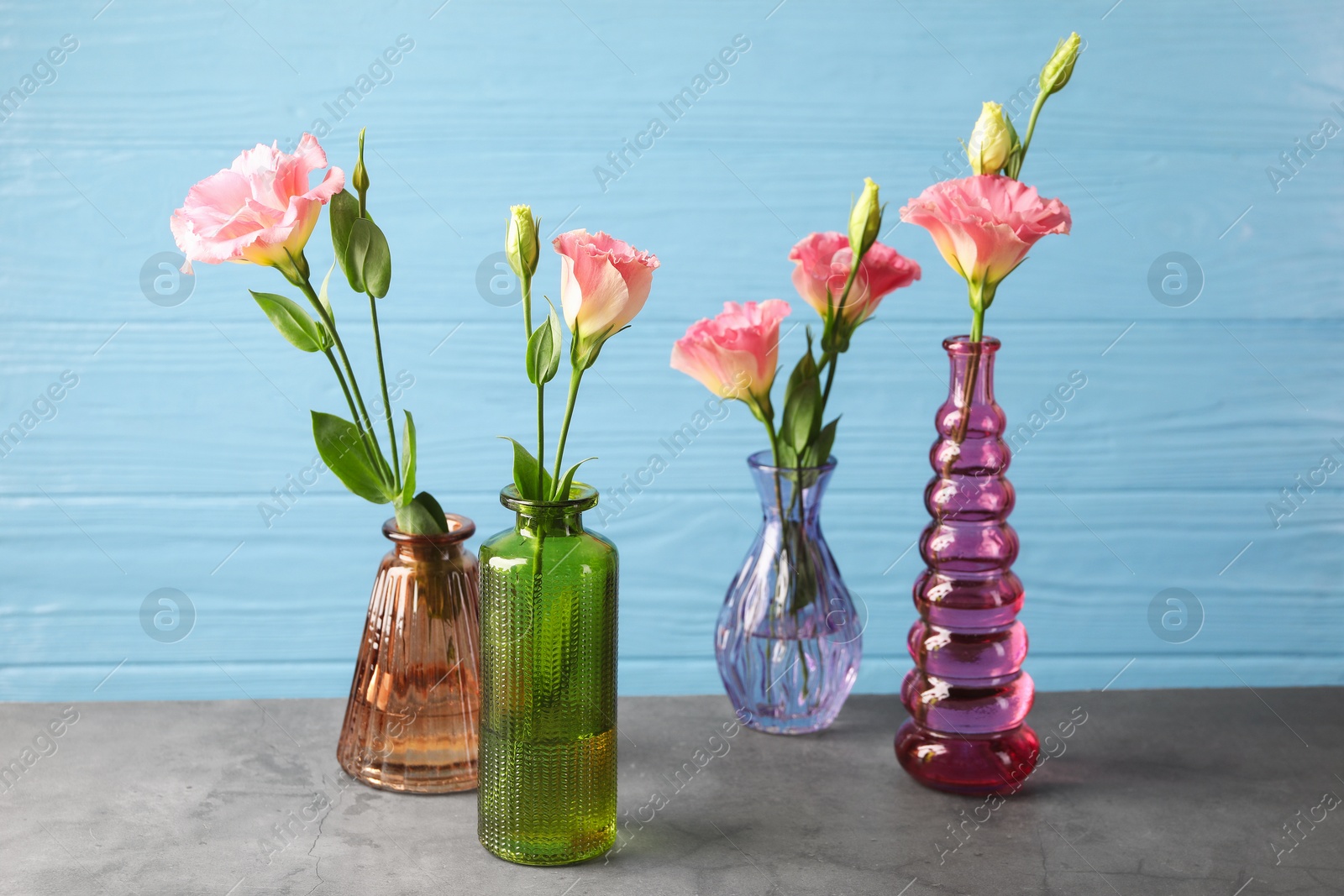 Photo of Beautiful eustoma flowers in glass vases on grey table against light blue wooden background