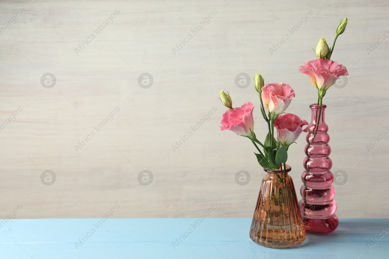 Photo of Beautiful eustoma flowers in glass vases on light blue wooden table, space for text