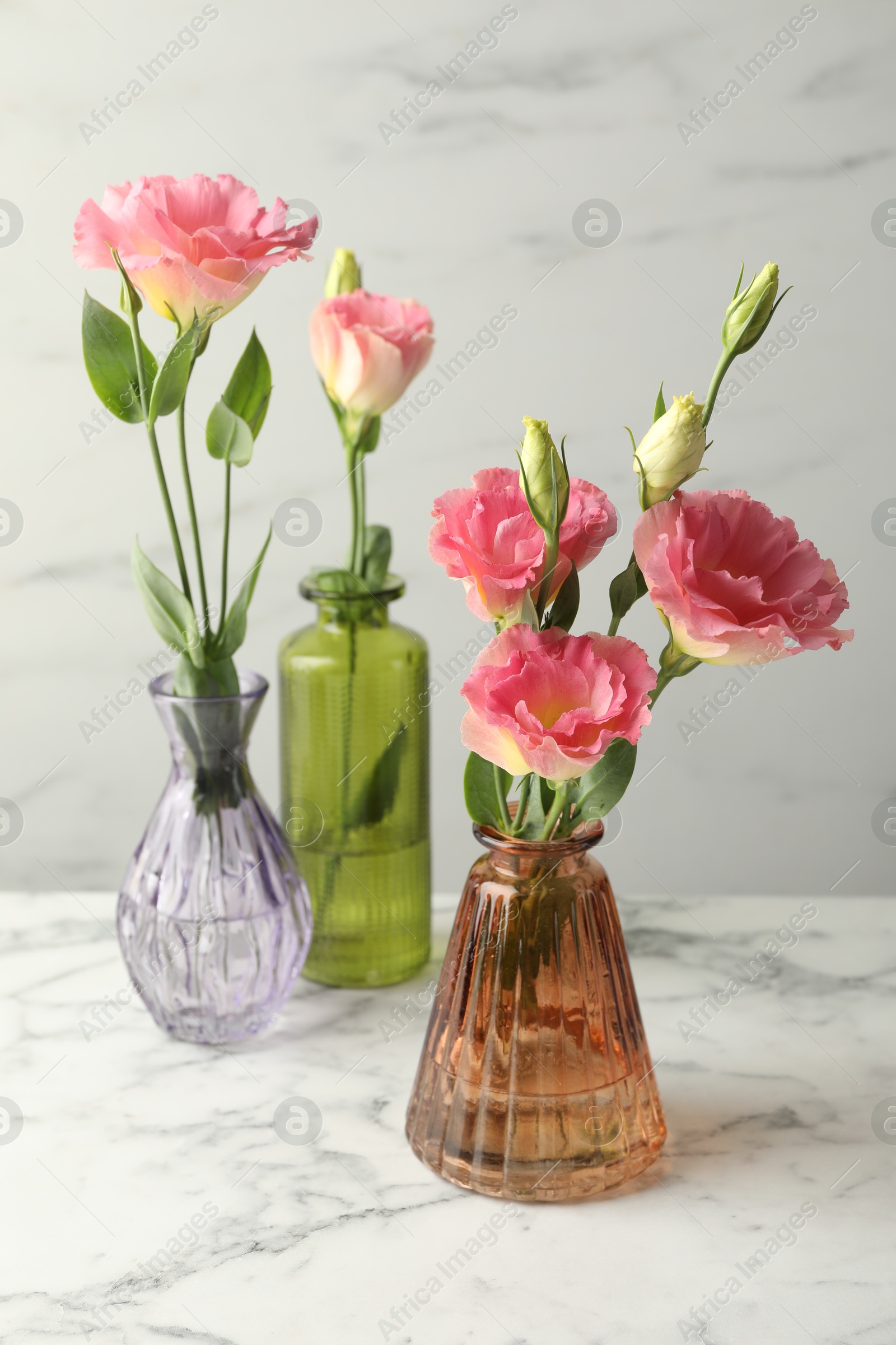Photo of Beautiful eustoma flowers in glass vases on white marble table