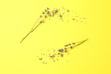 Photo of Fragrant lavender flowers on yellow background, flat lay