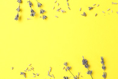 Photo of Fragrant lavender flowers on yellow background, flat lay. Space for text