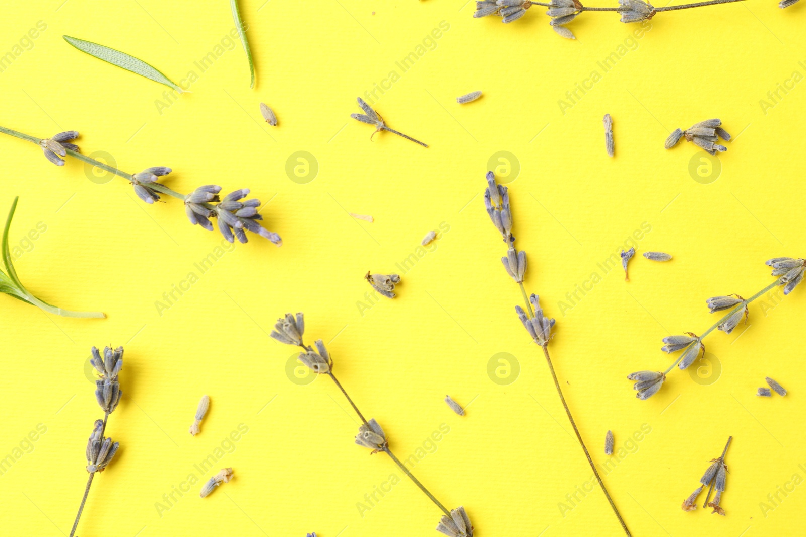 Photo of Fragrant lavender flowers and leaves on yellow background, flat lay