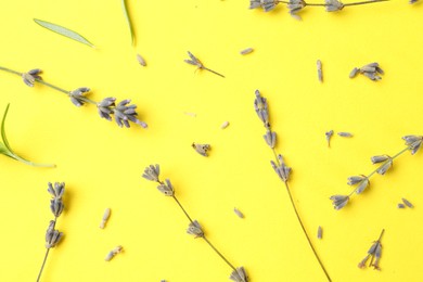 Photo of Fragrant lavender flowers and leaves on yellow background, flat lay