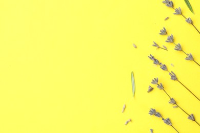 Photo of Fragrant lavender flowers and leaves on yellow background, flat lay. Space for text