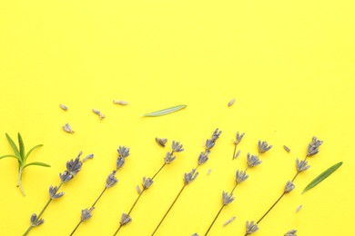 Photo of Fragrant lavender flowers and leaves on yellow background, flat lay. Space for text