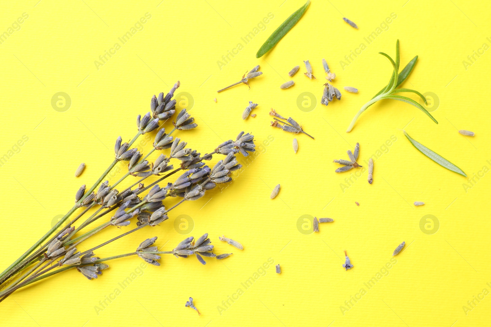 Photo of Fragrant lavender flowers and leaves on yellow background, flat lay