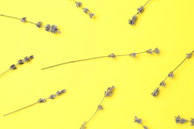 Photo of Fragrant lavender flowers on yellow background, flat lay