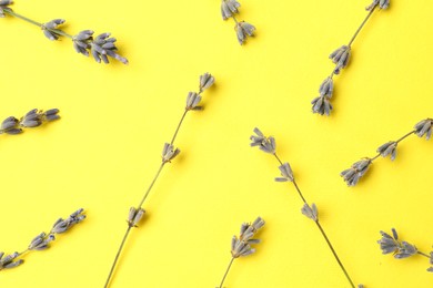 Photo of Fragrant lavender flowers on yellow background, flat lay