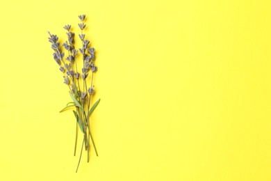 Photo of Fragrant lavender flowers with leaves on yellow background, top view. Space for text
