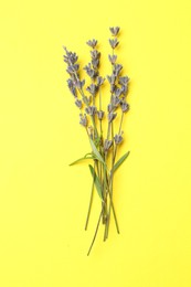 Photo of Fragrant lavender flowers with leaves on yellow background, top view