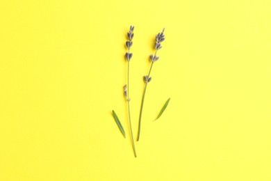 Photo of Fragrant lavender flowers and leaves on yellow background, flat lay